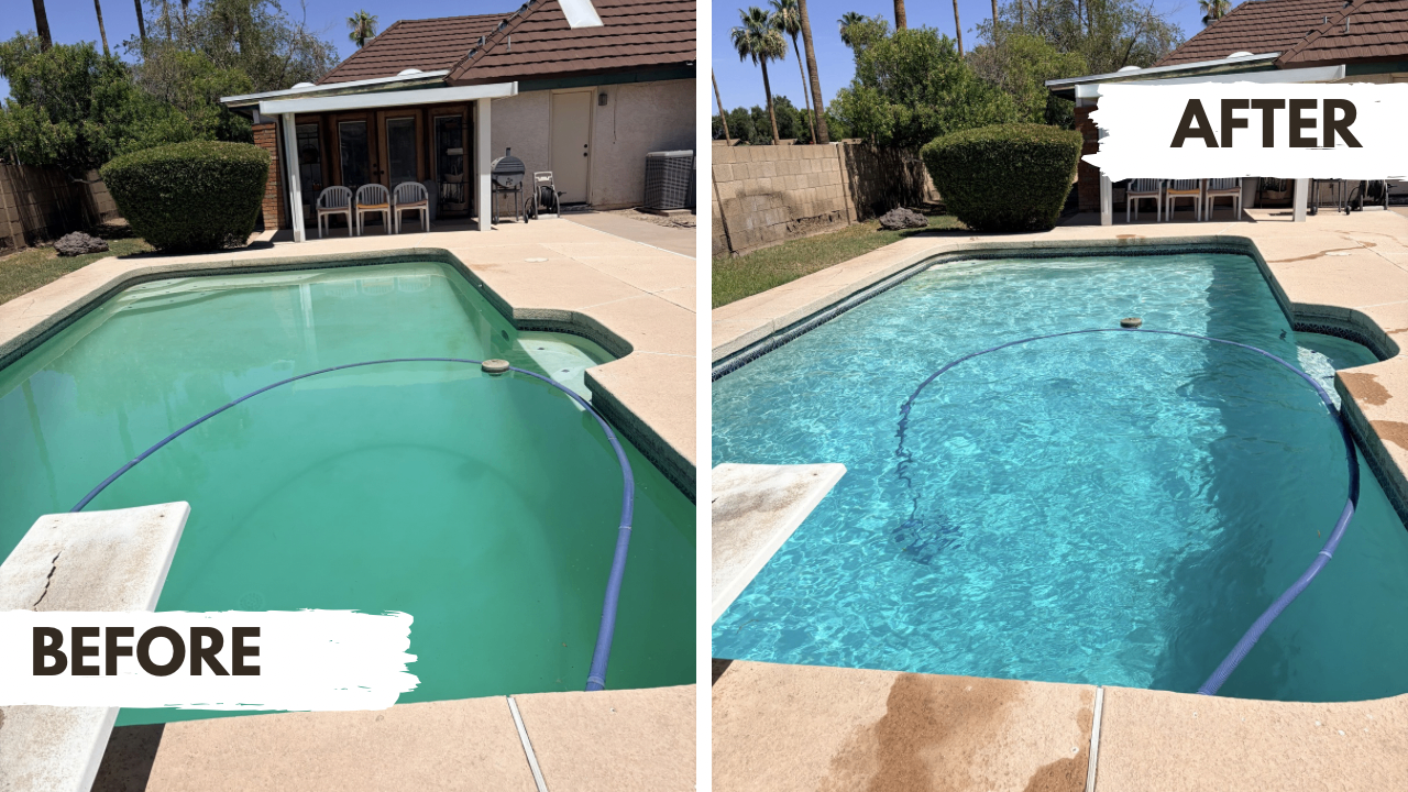 Algae Care & Green Pool Recovery