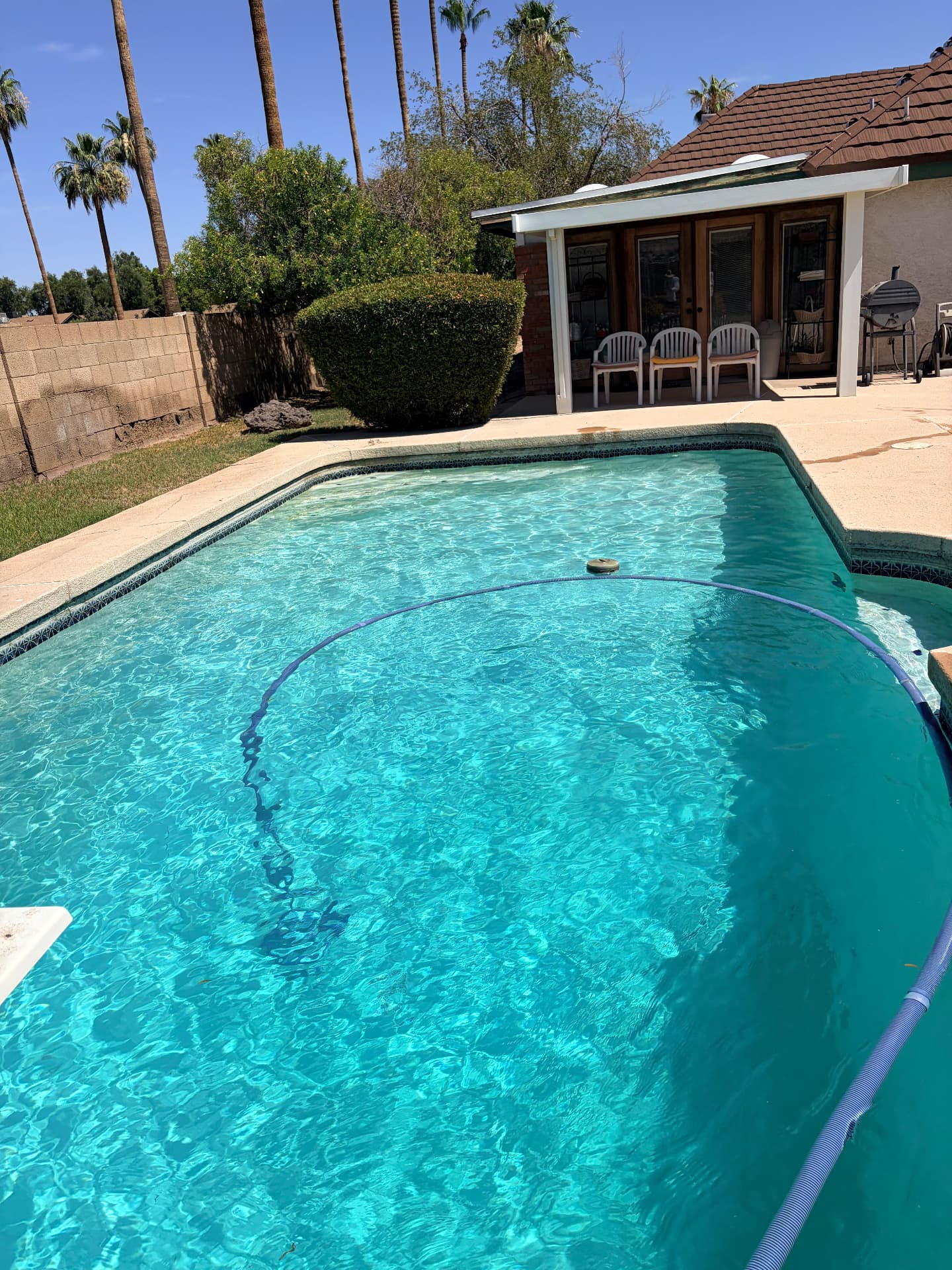 Freshly cleaned pool with palm trees in Phoenix