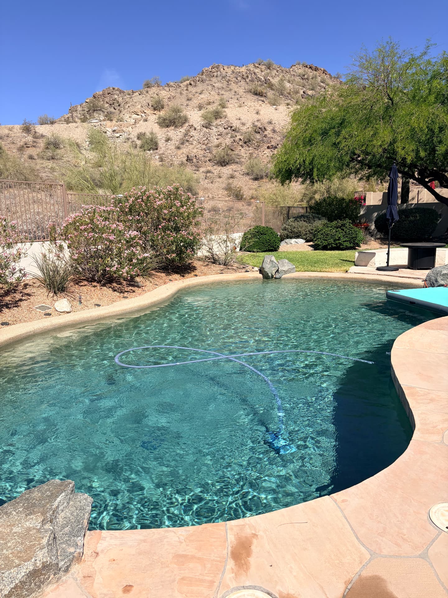 Desert mountain view pool cleaned by Requejo Pool & Spa